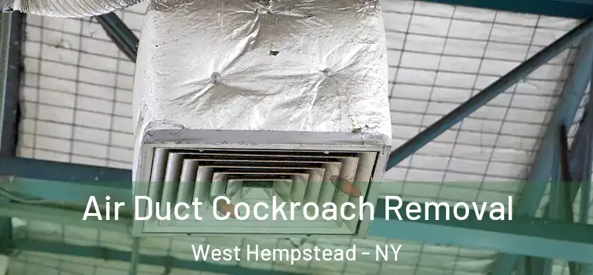  Air Duct Cockroach Removal West Hempstead - NY