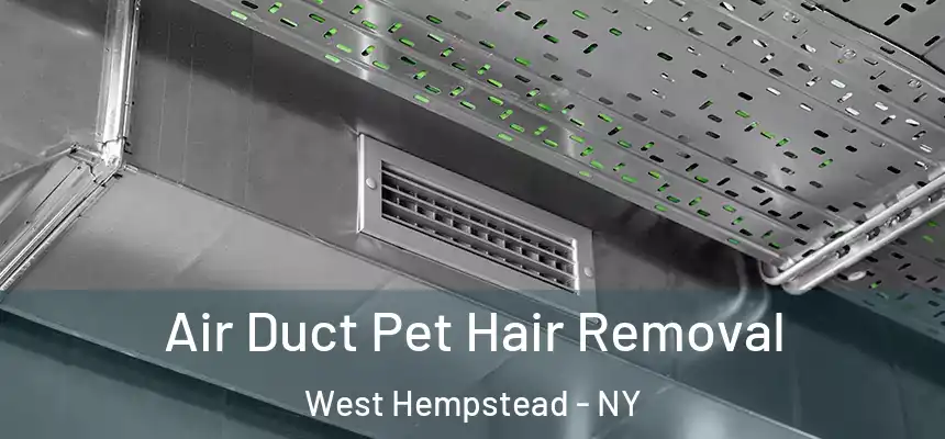 Air Duct Pet Hair Removal West Hempstead - NY