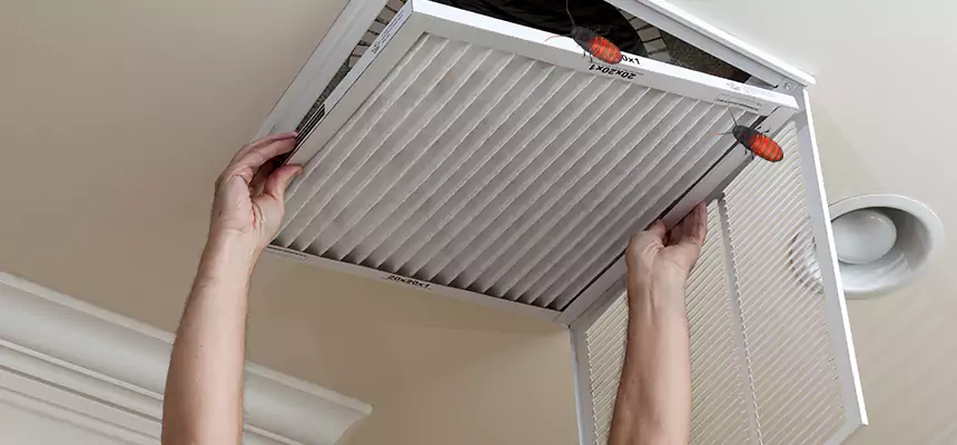 Preventive Cockroach-Proofing for Ducts in West Hempstead