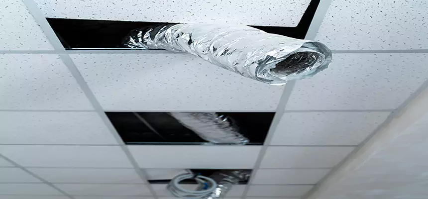 Affordable HVAC Sanitizing After Pest Removal in West Hempstead