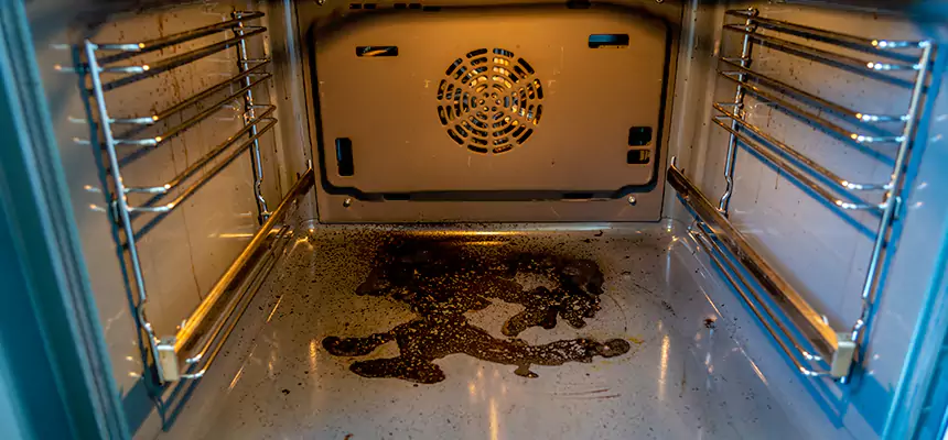 Our Dryer Vent Mold Cleaning Services in West Hempstead, NY