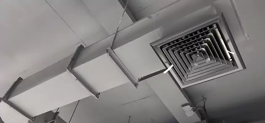 Our Pest Removal From Ducts Services in West Hempstead, NY