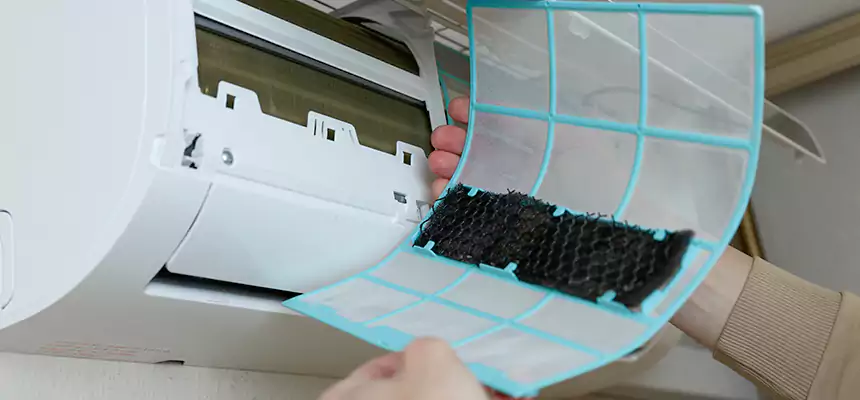 Gentle Ductwork Odor-Control Pet Dander Duct Cleaning in West Hempstead, NY