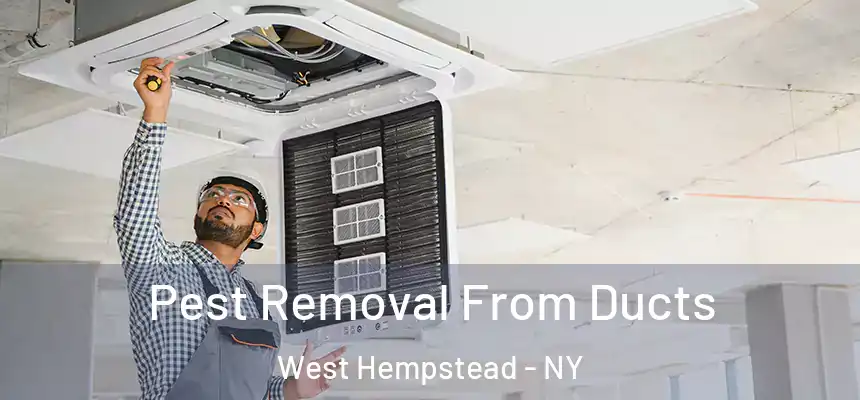 Pest Removal From Ducts West Hempstead - NY
