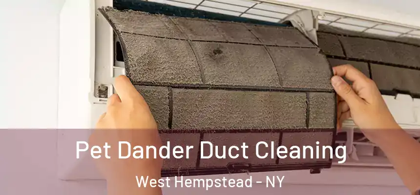  Pet Dander Duct Cleaning West Hempstead - NY