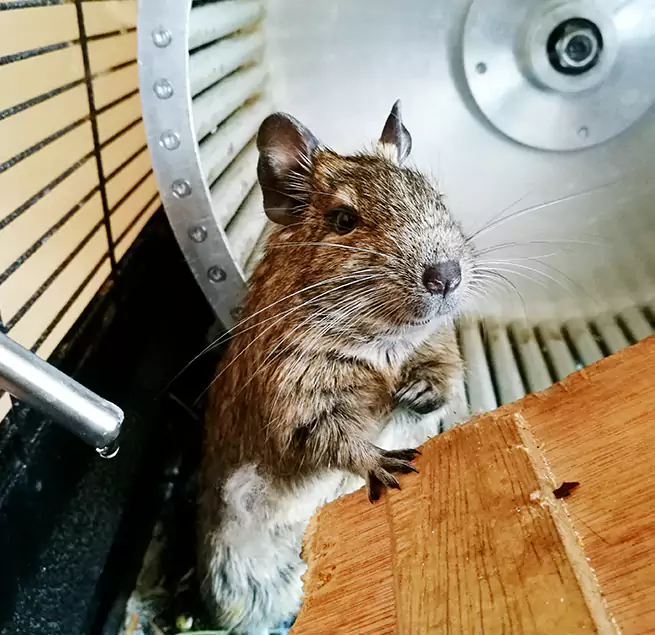 Why Homeowners & Businesses Trust Us West Hempstead, NY